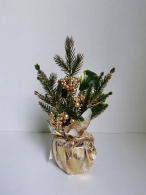 YK-P623APE0535CMPE树