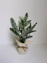 YK-P623APE0635CMPE树