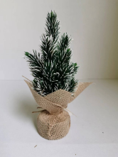 YK-P623APE1720CMPE树